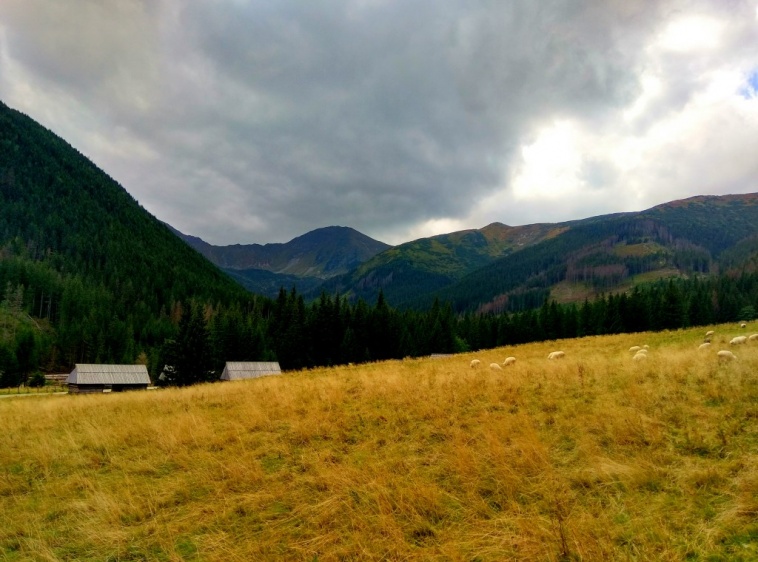 Testowy Pensjonat  ?v=1.0